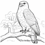 Northern Hobby Falcon in Habitat Coloring Pages 2