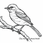Northern Mockingbird Coloring Pages 1
