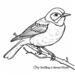 Northern Mockingbird Coloring Pages 4