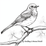 Northern Mockingbird Marvel Coloring Pages 1