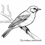 Northern Mockingbird Marvel Coloring Pages 2