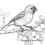 Orchard Oriole and Apple Tree Coloring Page 1
