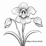 Orchid Flower Coloring Pages for Beginners 1
