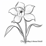 Orchid Flower Coloring Pages for Beginners 4