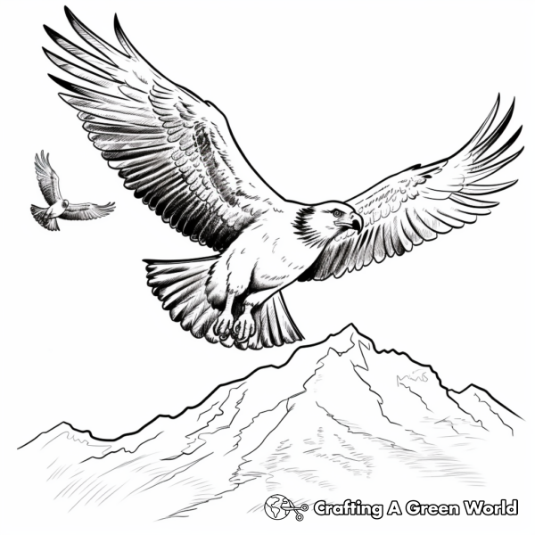 Osprey Coloring Pages - Free &amp; Printable!