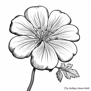 Outstanding Geranium Flower Coloring Pages 3