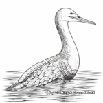 Oversized Pacific Loon Coloring Pages 4