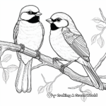 Pair of Black Capped Chickadees Coloring Pages 2