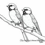 Pair of Black Capped Chickadees Coloring Pages 3