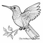 Patterned Calliope Hummingbird Coloring Pages 1