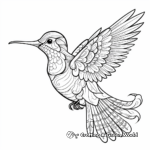 Patterned Calliope Hummingbird Coloring Pages 3