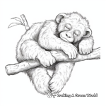 Peaceful Sleeping Chimpanzee Coloring Pages 3