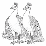 Peacock Couple Coloring Pages: Male and Female Peacocks 2