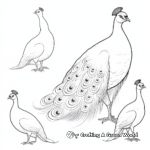 Peacock in Various Poses Coloring Sheets 4