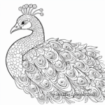 Peacock with Ornate Feathers Coloring Pages 1