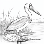 Pelican Wildlife Habitat Coloring Pages 4