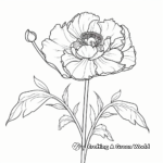 Peony Blossom Coloring Page: Close-up blooming petals 2
