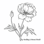 Peony Flower Coloring Pages: Bud, Bloom, and Wilted 2