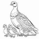 Pheasant Family Coloring Pages: Male, Female, and Chicks 4