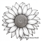 Photo-realistic Sunflower Anatomy Coloring Pages 1