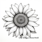 Photo-realistic Sunflower Anatomy Coloring Pages 3