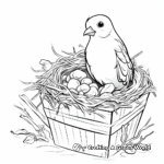 Pigeon Nest Coloring Pages for Children 1