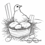 Pigeon Nest Coloring Pages for Children 4