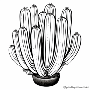 Pilosocereus Blue Cactus Drawing Pages for Coloring 3