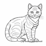 Playful American Shorthair Cat Coloring Pages 1