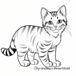 Playful American Shorthair Cat Coloring Pages 2