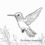 Playful Calliope Hummingbird Coloring Pages 1
