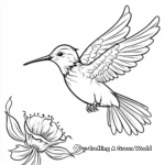 Playful Calliope Hummingbird Coloring Pages 4