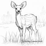 Playful Deer in the Meadow Coloring Pages 2