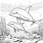 Playful Dolphins Coloring Pages for Kids 2