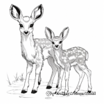 Playful Fawn and Bunny Coloring Sheets 4