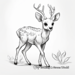 Playful Fawn Antler Coloring Pages 3