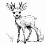 Playful Fawn Antler Coloring Pages 4