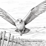 Prairie Falcon in Flight: Sky-Scene Coloring Pages 1