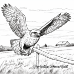 Prairie Falcon in Flight: Sky-Scene Coloring Pages 3