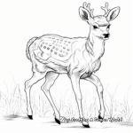 Prancing Sika Deer Coloring Pages 3