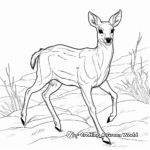 Prancing Sika Deer Coloring Pages 4