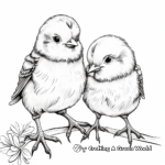 Precious Baby Chicks Coloring Pages 2