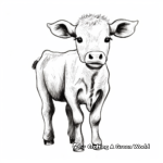 Printable Abstract Baby Cow Coloring Pages for Artists 1