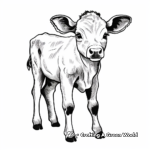 Printable Abstract Baby Cow Coloring Pages for Artists 4