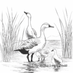 Printable Abstract Canada Geese Coloring Sheets 1