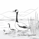 Printable Abstract Canada Geese Coloring Sheets 3