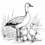 Printable Abstract Canada Geese Coloring Sheets 4
