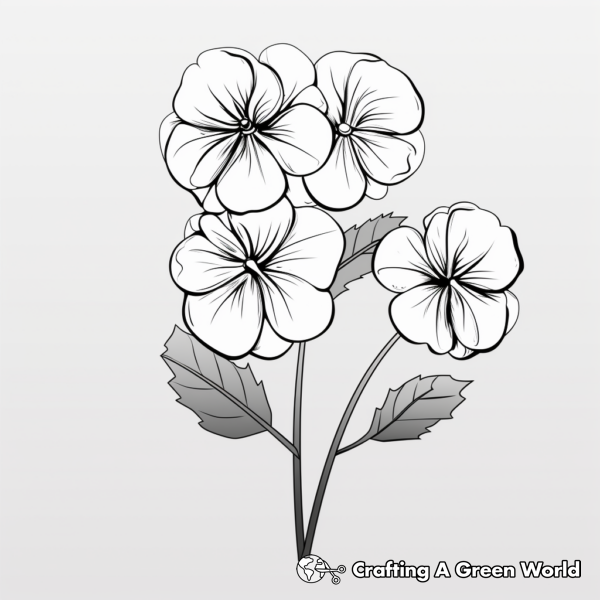 Hydrangea Coloring Pages - Free &amp; Printable!
