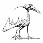 Printable Abstract Pteranodon Coloring Pages for Artists 1