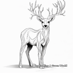 Printable Abstract White Tailed Deer Coloring Pages 2
